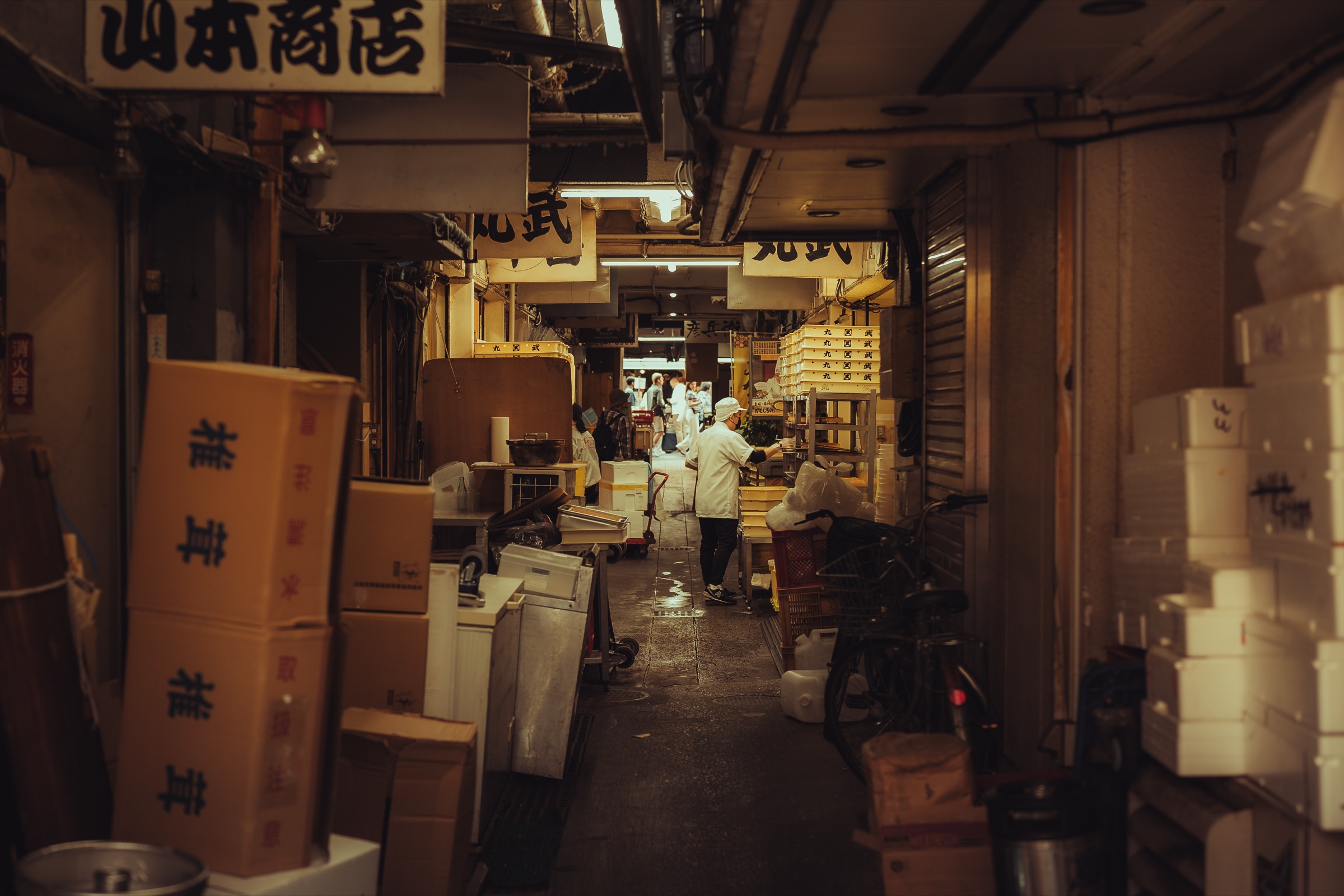 japan — photograph 1