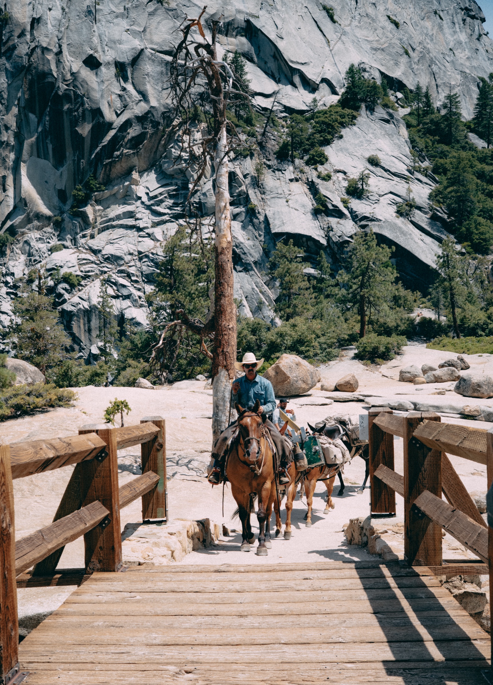 california — photograph 6